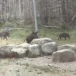 Bergblick شقة