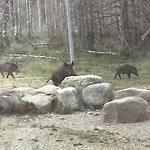 Bergblick شقة