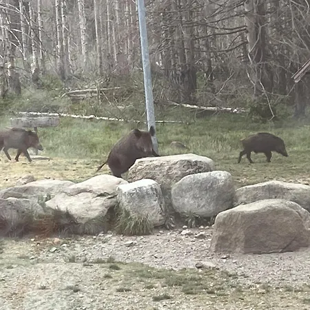 Apartmán Bergblick Bad Harzburg